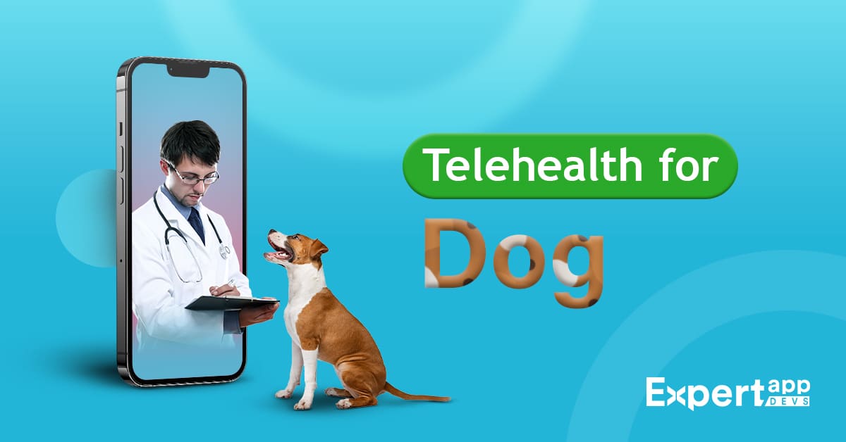 Telehealth for Dogs - Veterinary App