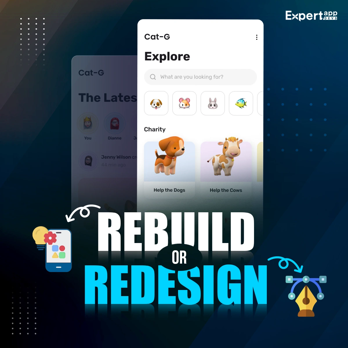 rebuild or redesign