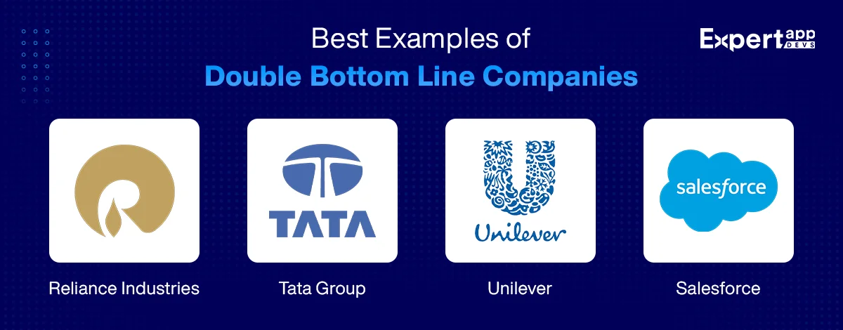 best examples of double bottom line companies