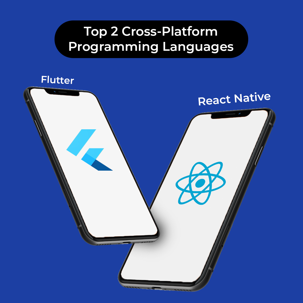 top 2 cross-platform programming languages