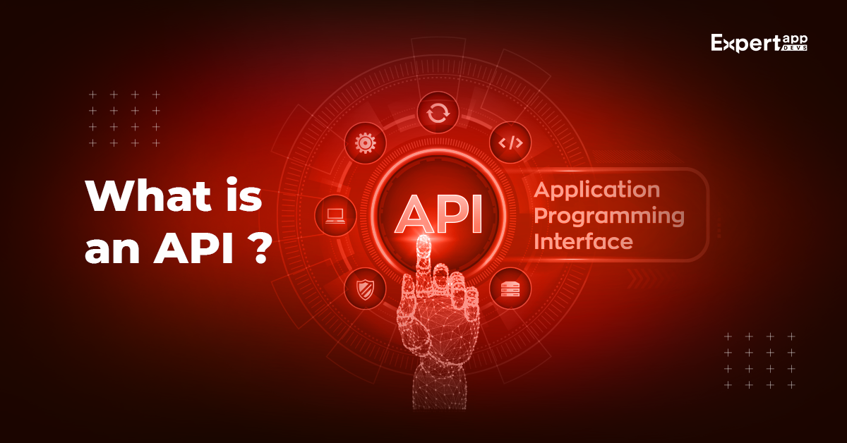 What is an API