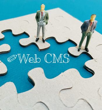 Readymade CMS Development